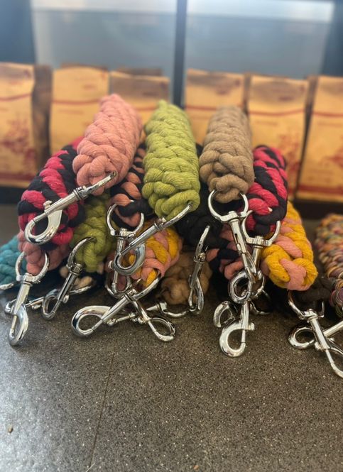 Hovedbilde Kampanje Leietau assortert