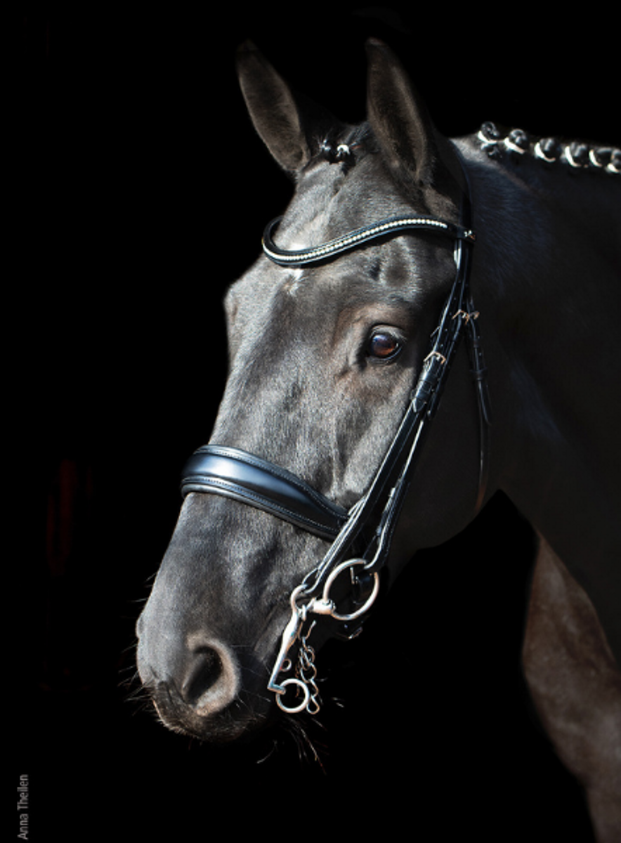 Schockemöhle Milan Anatomic Double Bridle