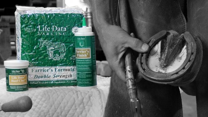 Hovedbilde Life Data Hoof Clay 283g