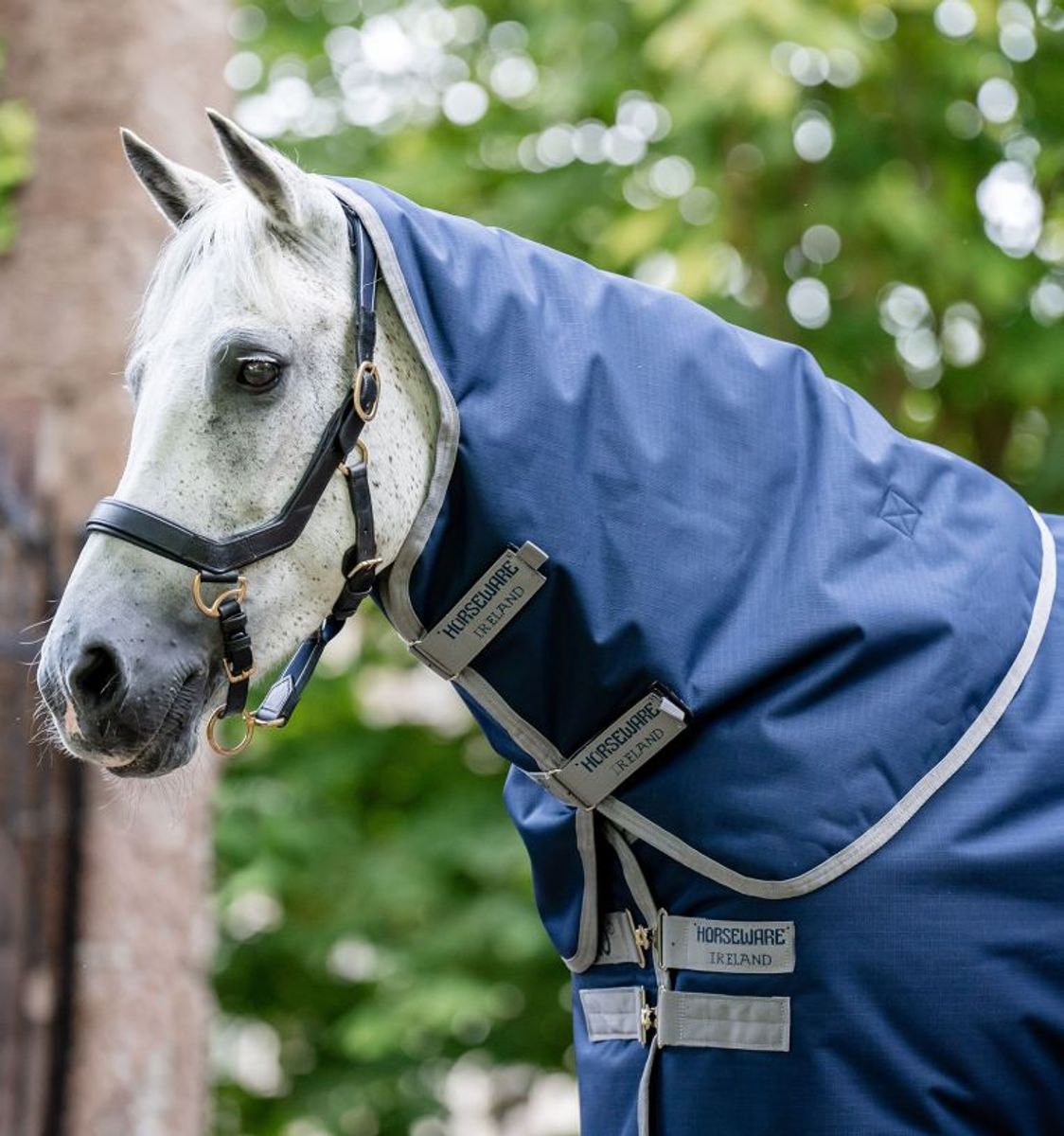 Horseware Amigo® Ripstop 900D Turnout Hood (0g Light)