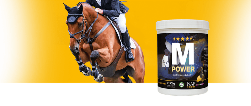 NAF M Power 900g