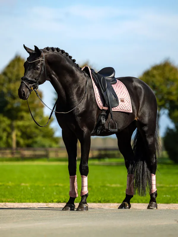 Equestrian Stockholm Dressursjabrak Modern Midsummer Blush