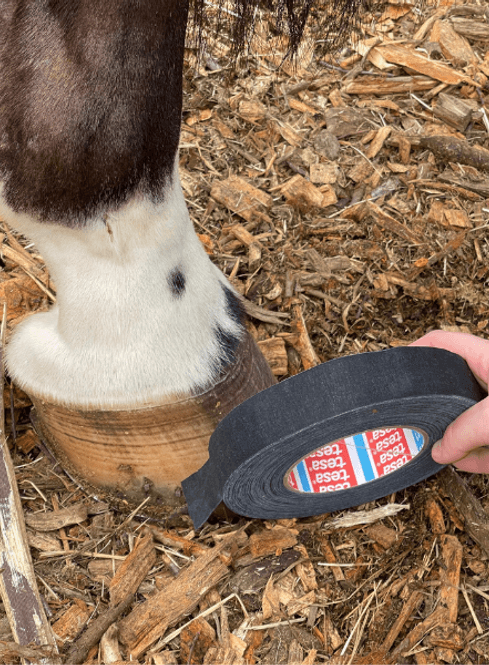 Hovedbilde Tesa Hovtape 4541 50m