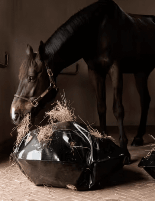 Hovedbilde Kentucky Grooming Deluxe Play & Haybag Slowfeeder ...