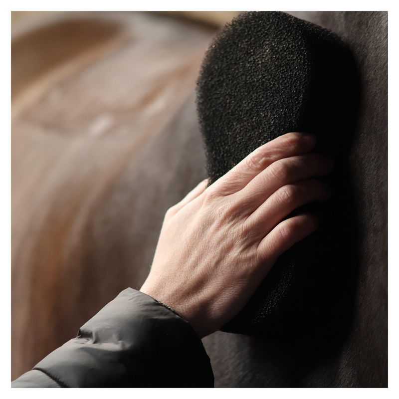Shine Scrubber Sponge