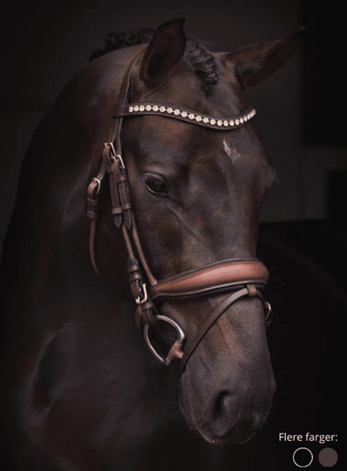 Hovedbilde Cleveland Rundsydd Hodelag