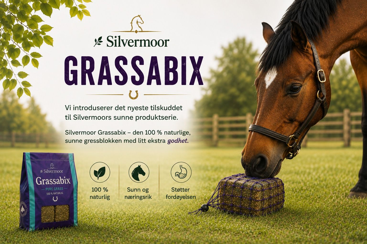 silvermoor grassabix
