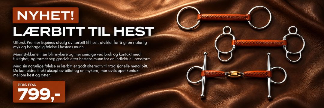 Lærbitt