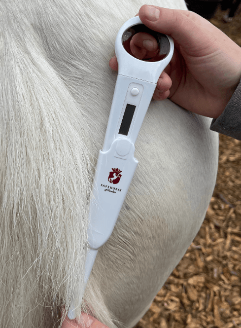 Hovedbilde SafeHorse Termometer