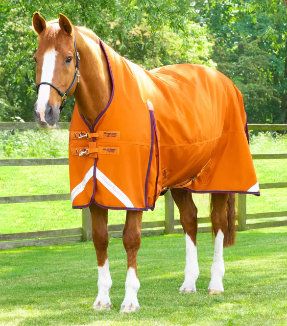 Hovedbilde PE Buster Hardy 200g Half Neck Turnout Rug
